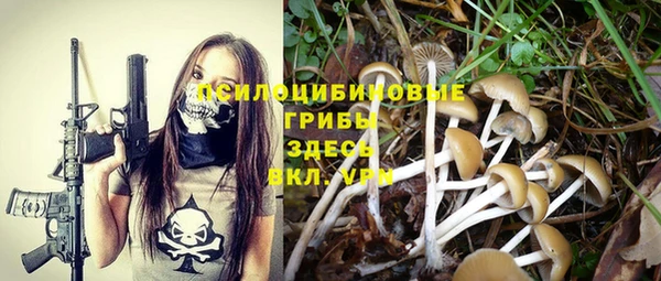 гашиш Каменногорск
